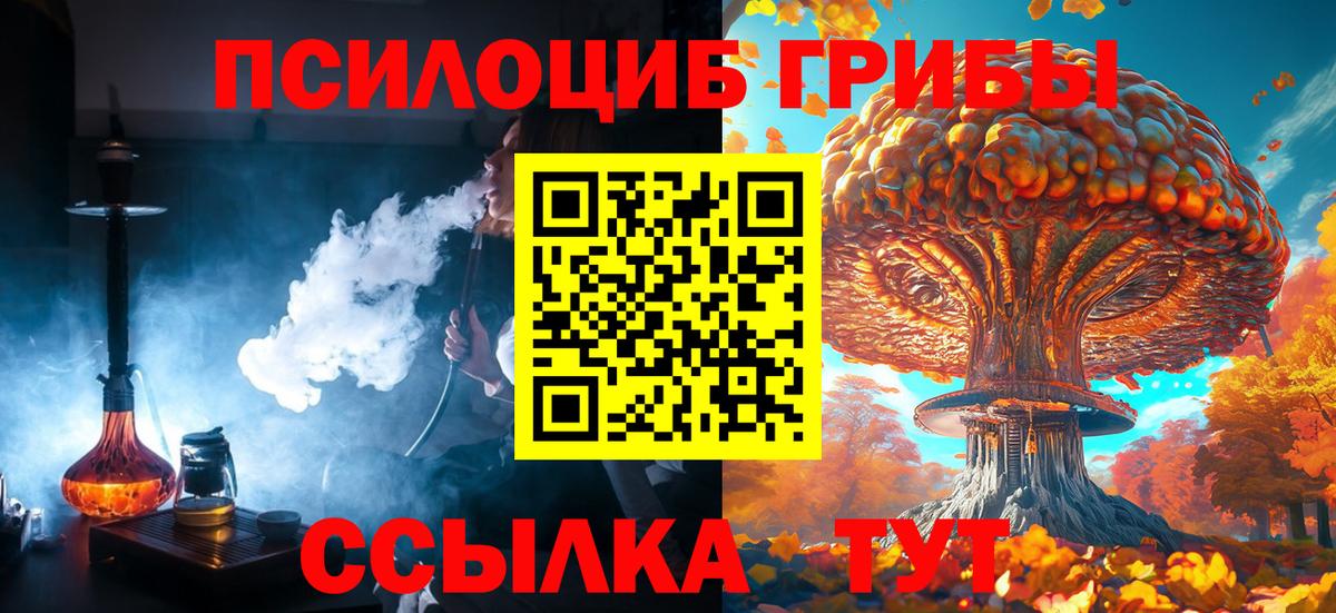 хочу   Псилоцибиновые грибы MAGIC MUSHROOMS  Вход с VPN  Старая Купавна 